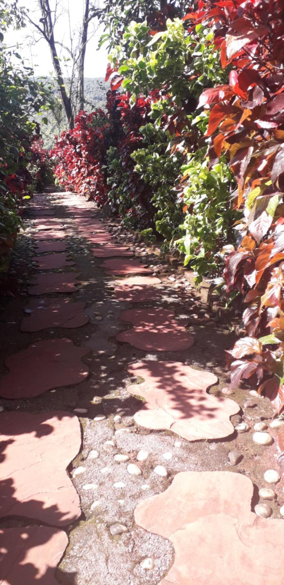 Strawberry Country Villa มหาบาเลชวาร์ ห้อง รูปภาพ